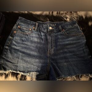 American Eagle Dark Wash Denim Shorts